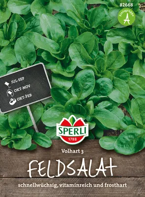 Produktbild von Feldsalat Vollhart 3 | Salatsamen von Sperli