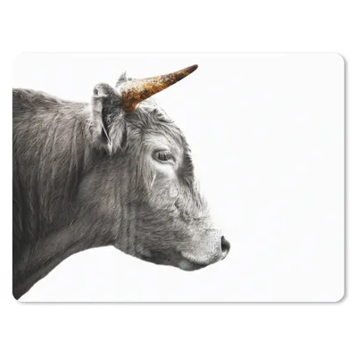 Produktbild von MuchoWow® Mauspad Mousepad Schottischer Highlander - Horn - Gold 23x19 cm - Mousepads - Maus Mat - Pad - Mausunterlage - Schreibtischunterlage - Mauspad
