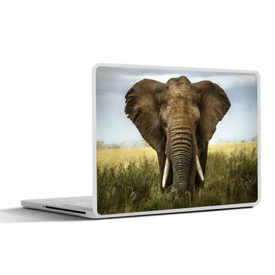 Produktbild von MuchoWow® Laptop Aufkleber Sticker Cover Elefant - Natur - Gras - Tiere - Landschaft 30x21 cm - Sticker für Laptop - Selbstklebend