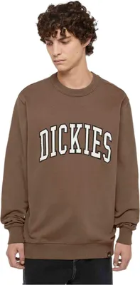 Produktbild von Sweatshirt Dickies DK0A4XABJ961 für Herren