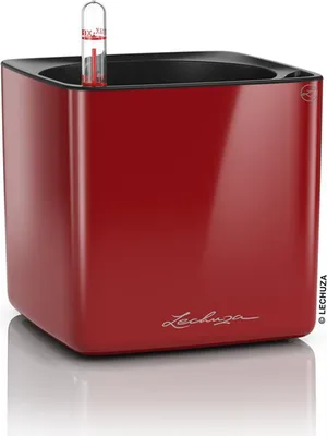 Obrázek produktu pro LECHUZA CUBE, Květináč, Volně stojící, Polypropylen (PP), Bílá, Čtverec, Vnitřní