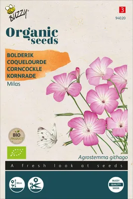 Artikelbild 2 von 'BIO Kornrade Milas' aus der Kategorie Nelkensamen