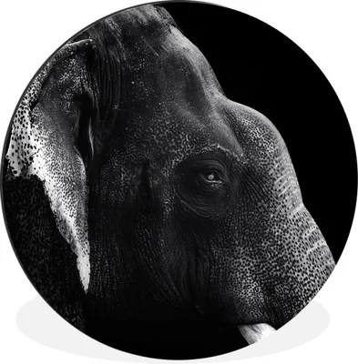 Produktbild von MuchoWow® Aluminium Wandkreis Elefant auf schwarzem Hintergrund in schwarz und weiß Ø 90 cm Wanddeko Modern Wohnzimmer - Mauerkreis - Wandbilder - Runde Bild - Bild aus Aluminium - Schlafzimmer - Wohnzimmerdekoration - Wand Dekoration