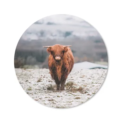 Produktbild von MuchoWow® Mauspad Mousepad Schottischer Highlander - Schnee - Berg 40x40 cm - Mousepads - Maus Mat - Pad - Mausunterlage - Schreibtisch Accessoires