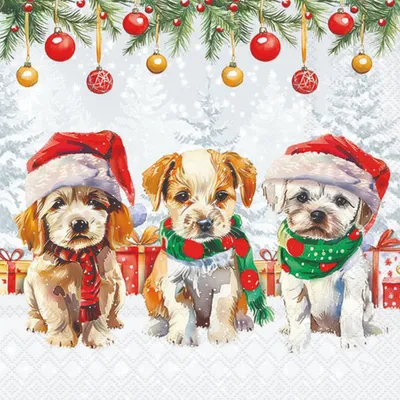 Produktbild von 20 Servietten Funny Cute Puppies - Festliche Weihnachtshunde 33x33cm