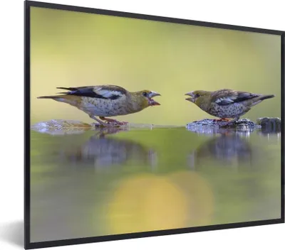 Produktbild von MuchoWow® MuchoWow® Gerahmtes Poster Vogeltränke - Vogel - Wasser 40x30 cm - Poster mit zchwarzem Bilderrahmen - Kunstposter - Wanddekorationen