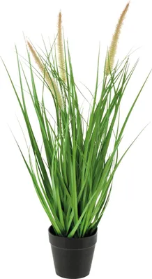 Produktbild von artplants.de Kunst Lampenputzergras Ubon mit Rispen, Dekotopf, grün, 50cm - Künstliches Grasbündel