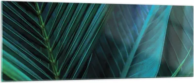 Produktbild von Bilder auf glas - Einteilig - Blatt Tropen Grün - 140x50cm - Glasbilder - Wandbilder - Bilder - zum Aufhängen bereit - Wanddekoration aus Glas - Glas Bilder - Wandbild auf Glas - GAB140x50-5071