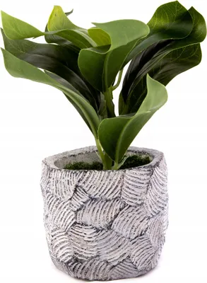 Produktbild von Kunstpflanze im Topf 18cm - Grüne Deko Zimmerpflanze Pflegeleicht Verschiedene Designs
