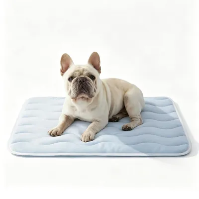 Image de Solidchoice - Tapis rafraîchissant pour chiens, 89 x 58 cm, respirant et lavable