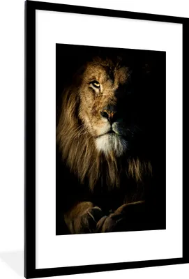 Produktbild von MuchoWow® MuchoWow® Gerahmtes Poster Löwe - Licht - Schwarz 60x90 cm - Poster mit zchwarzem Bilderrahmen - Dekoration - Wandposter Wohnzimmer - Hochwertig