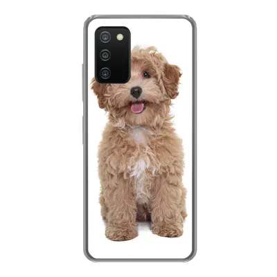 Produktbild von MuchoWow® Handyhülle Schutzhülle Hülle für Samsung Galaxy A03s Hund - Haustiere - Fell Silikon Softcase Handy Hülle - Schutz