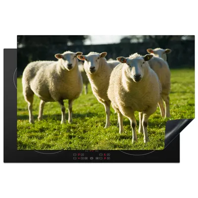 Produktbild von KitchenYeah© Herdabdeckplatte Schafe - Tiere - Wolle , 81x52cm, Küche Deko, Glaskeramikkochfeld Herdabdeckung, Abdeckplatte fùr Kochfeld