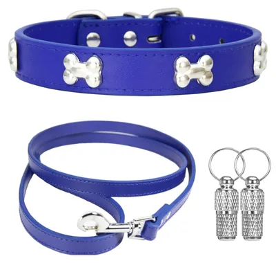 Productafbeelding van Hondenhalsband van Leer met ID-tags en Leash
