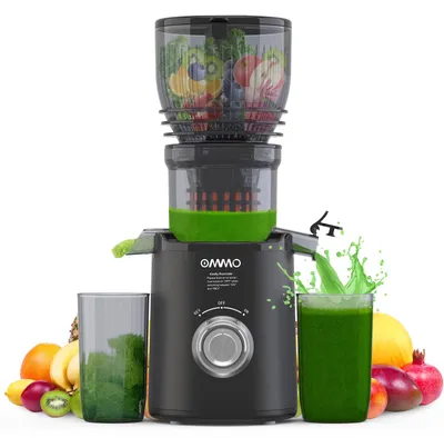 Slow Juicer 300 W Saftpresse für Obst und Gemüse, Schwarz