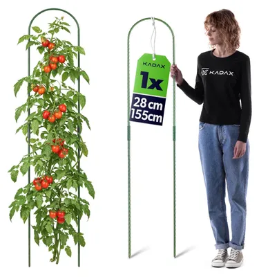 Immagine prodotto di KADAX Paletto per piante 28 x 155 cm, 1 pezzo, sostegno per piante in acciaio con rivestimento in plastica, supporto per pomodori, cetrioli e piante rampicanti, arco di sostegno per serra