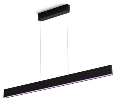 Image de Philips 929003052501 Philips Hue Ensis pendant black 2x39W 24V