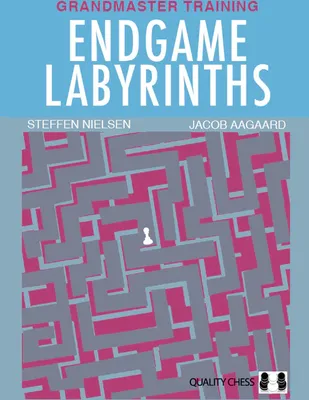 Image de Endgame Labyrinths