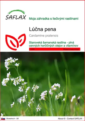 Produktbild von SAFLAX - lúčna pena - Cardamine pratensis - 100 Semená