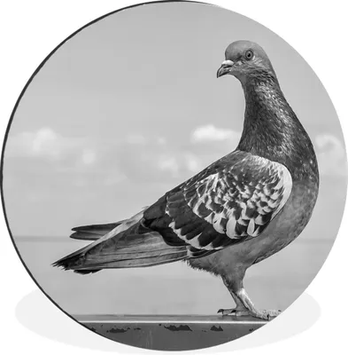 Produktbild von MuchoWow® - Mauerkreis - Wandbilder - Runde Bild - Bild aus Aluminium - Schlafzimmer - Wohnzimmerdekoration - Wand Dekoration