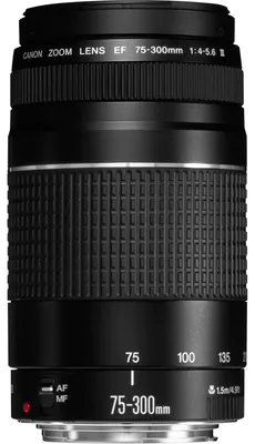 Immagine prodotto di Canon - Teleobiettivo zoom - 75 mm - 300 mm - f/4.0-5.6 III - Canon EF - per EOS 100, 1200, 1300, 1D, 5D, 5DS, 6D, 70, 700, 750, 760, 7D, 80, 8000, Kiss X8i, Rebel T6s (6473A015)