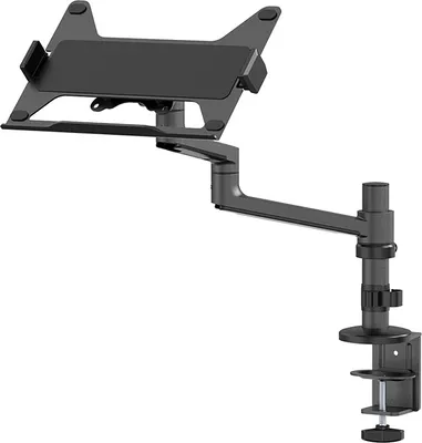 Image de Neomounts DS20-425BL1 Support pour ordinateur portable bras pour moniteur 11.6-17.3" - gain de place