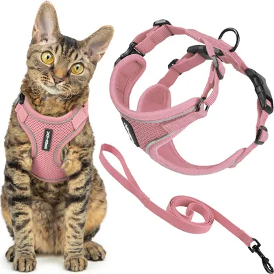 Image de Harnais et laisse pour chat antiefraction, ensemble avec coutures réfléchissantes