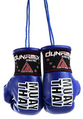 Produktbild von Dynamix Athletics Autospiegel Mini Boxhandschuhe Muay Thai Blau