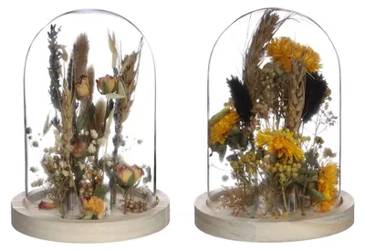Produktbild von Glasgefäß mit Trockenblumen Natur Ø10cm (1 Stück) [IFS-29833]
