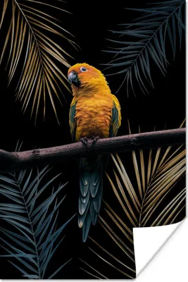 Produktbild von MuchoWow® Poster Farben - Vogel - Papagei 20x30 cm - Papierdruck