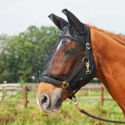 Produktbild von Busse FLY GUARD PLUS - schwarz - Fliegenmaske