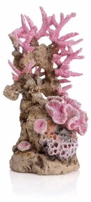 Produktbild von biOrb 46130 Korallenriff Ornament pink - korallenförmige Aquariendekoration zur