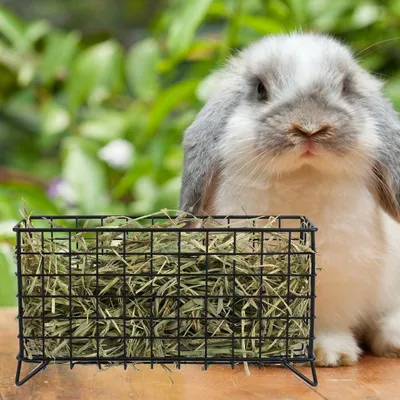 Produktbild von Heufutterautomat – Hängendes Futtergestell für Kaninchen und Meerschweinchen