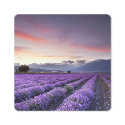 Produktbild von MuchoWow® Mauspad Mousepad Sonnenuntergang über Lavendel 20x20 cm - Mousepads - Maus Mat - Pad - Mausunterlage - Desk Mat - Bureauartikeln