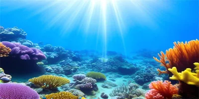 Produktbild von Aquarium Hintergrund 91x41 cm, Unterwasserwelt, Korallenriff, Langlebiges Vinyl, für Fischbecken
