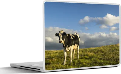 Produktbild von MuchoWow® Laptop Aufkleber Sticker Cover Kuh - Schwarz - Weiß - Gras 30x21 cm - Sticker für Laptop - Selbstklebend