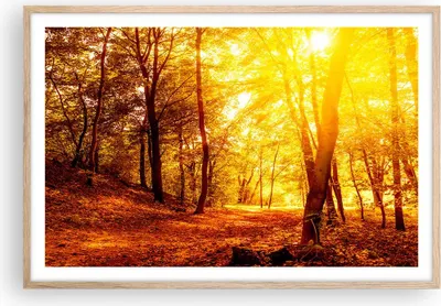 Produktbild von Gerahmtes Poster - Rahmen in heller Eiche - Wald Baum Natur - 91,5x61 cm - Wand Bild - Wanddeko - Wandbilder - Kunstposter - Wandposter - Bilderrahmen - Bilder - Kunstdruck - Wandbild P2NAA91x61-3722