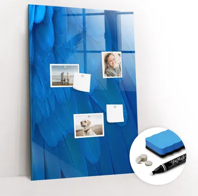 Produktbild von Magnetpinnwand Memoboard - Zubehörsatz - Weißer Marker + Schwamm + Magnete - 60 x 90 cm - Vogelfeder