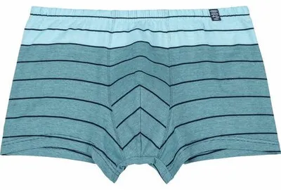 Obrázok produktu pre Pánske boxerské nohavice Ammann