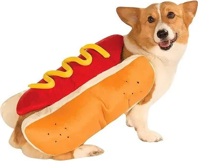 Produktbild von Hundekostüm, Hundekleidung für Hunde, weich, süß und süßes Rollenspielkostüm für Welpen, kleines Haustier, Hundekleidung (L)