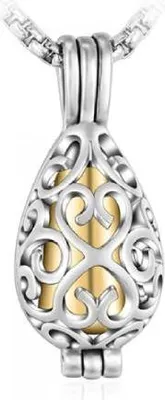 Produktbild von Luxe Ascheanhänger mit Kette für Asche, Haare oder Parfum - Gedenkschmuck mit Asfüllhilfe und Aufbewahrungstasche - Miss You