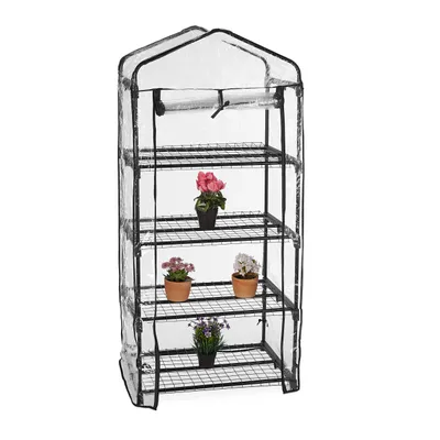A small greenhouse with shelves and plants on a white background.