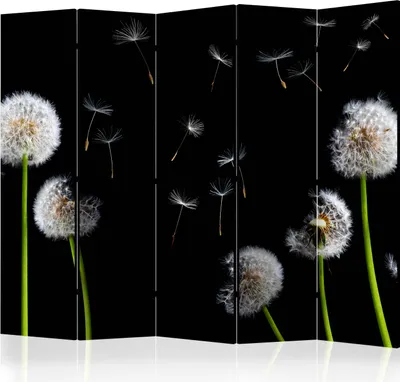 Produktbild von Akusticher Raumteiler Pusteblume Foto Paravent 225x172 cm beidseitig auf Vlies-Leinwand bedruckt Akustikschaum Trennwand Spanische Wand Sichtschutz Home Office Blumen b-C-0476-z-c