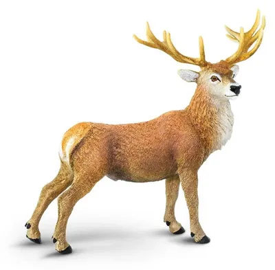 Produktbild von Safari Ltd Figur Eines Rothirsches Braun From 3 Years Kinder Braun From 3 Years