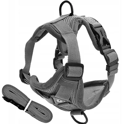Produktbild von Leichtes Hundegeschirr mit Leine, atmungsaktiv, reflektierend, L