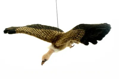 Produktbild von Plüsch Geier fliegend 95cm Spannweite Realistisch Premium Deko Vogel