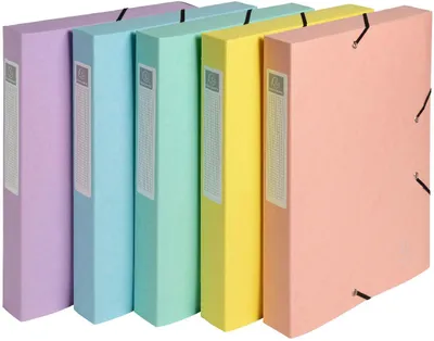 Produktbild von Exacompta Cartobox Archivbox A4 Aquarel sortiert 25x33 cm 10 Stück