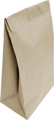 Obrázok produktu pre Recyklovateľné uzatvárateľné tašky Fiesta Recyclable Stredné (250 kusov)
