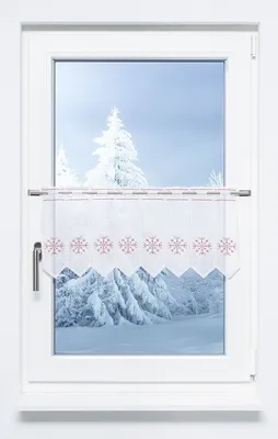 Produktbild von Scheibengardine Plauener Spitze - Eiskristall  (Bx H) 139.40cm * 30cm Rot/reinrot