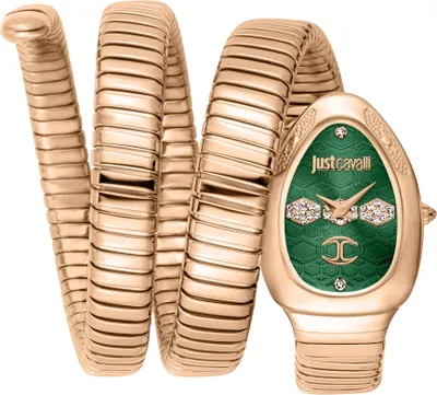 Image de Just Cavalli Montres-bracelets JC1L232M0045